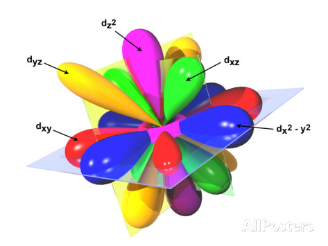Diagram of Electron Orbitals: Five D Orbitals in 2 Forms by Carol & Mike Werner